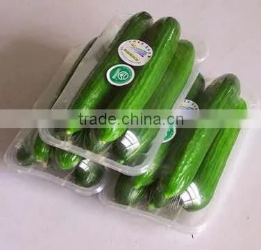 Vegetables Heat Shrink Packaging Wrapping Machine With Delta System photo-3