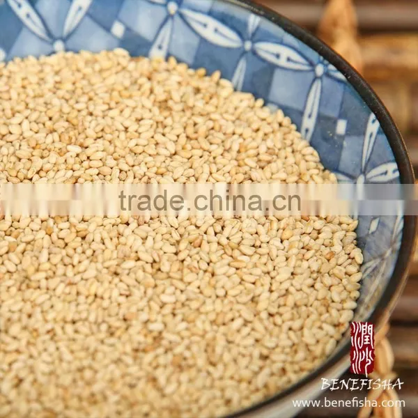TASSYA China Origin Roasted White Sesame Seed