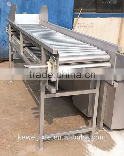 G X J Model Rolling Rail Fruit Sorting Machine photo-3