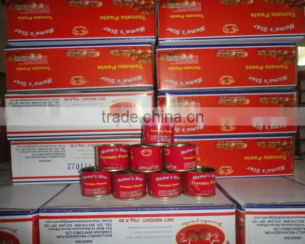 Supply 70g*50 & 70g*100 H/O Canned Tomato Paste photo-6
