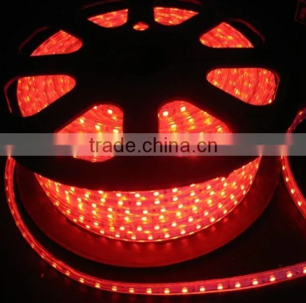 SMD2835 LED Strip Light Waterproof IP65 photo-2