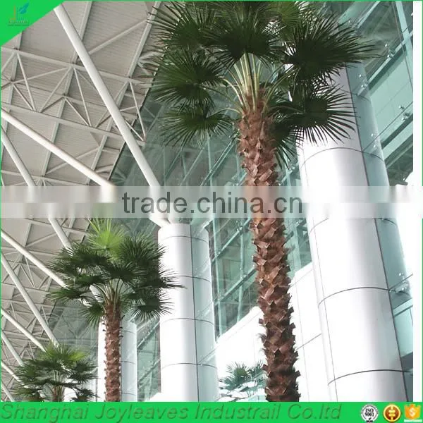 500cm High Bend Artificial Fake Washingtonia Palm Tree photo-6