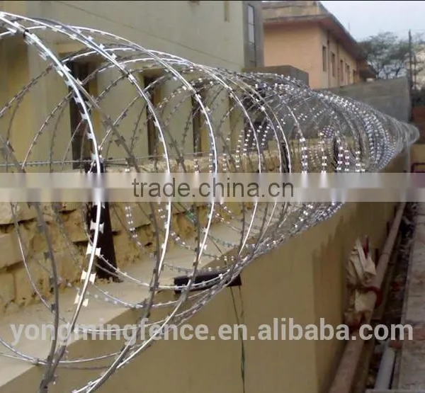 Barb Wire and Razor Wire photo-5