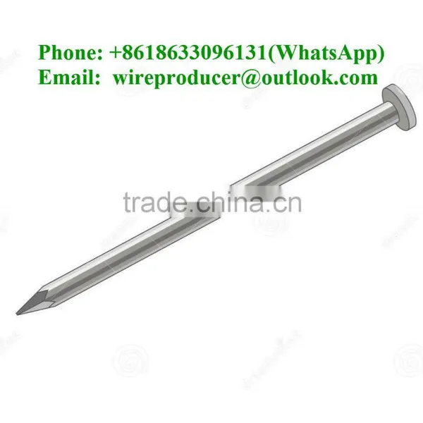 Polished Common Iron Wire Nails