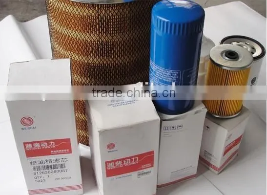 Weichai Styer Spare Part Fuel Filter 612630080087