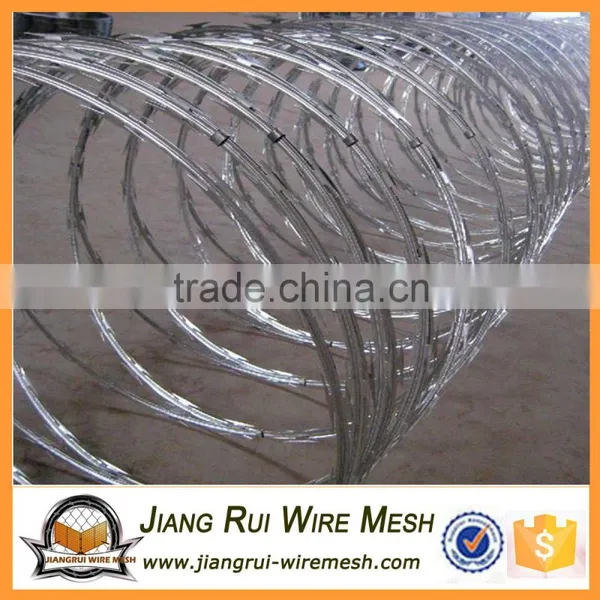 Security Fencing Razor Barbed Wire photo-6