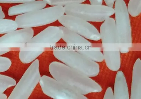 FRAGRANT WHITE RICE 4900, 5451, NANG HOA, KDM photo-3