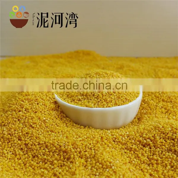 Millet Yellow Millet 2016 Crop High Quality Market Price photo-3