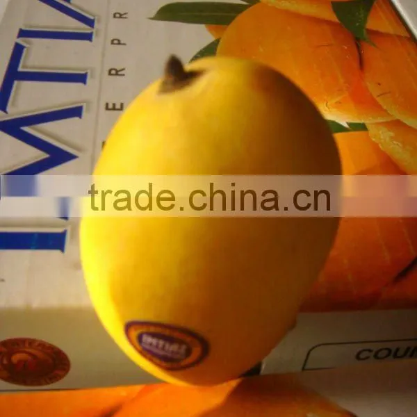 Processed Mango