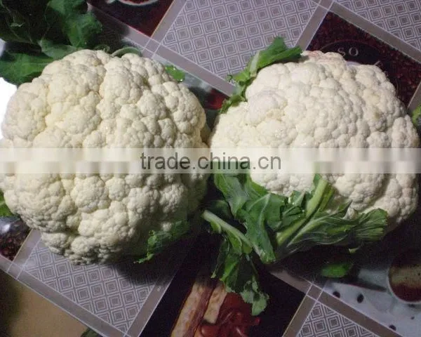 Cauliflower