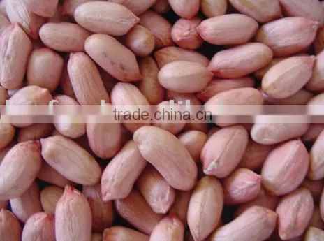 Peanut Kernels