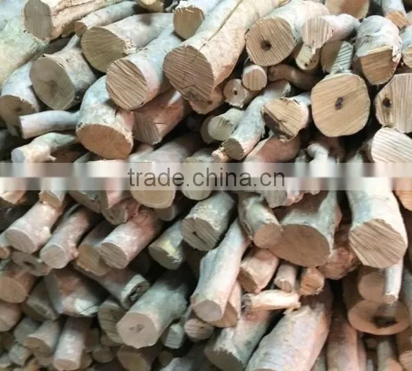 Tongkat Ali Root photo-2