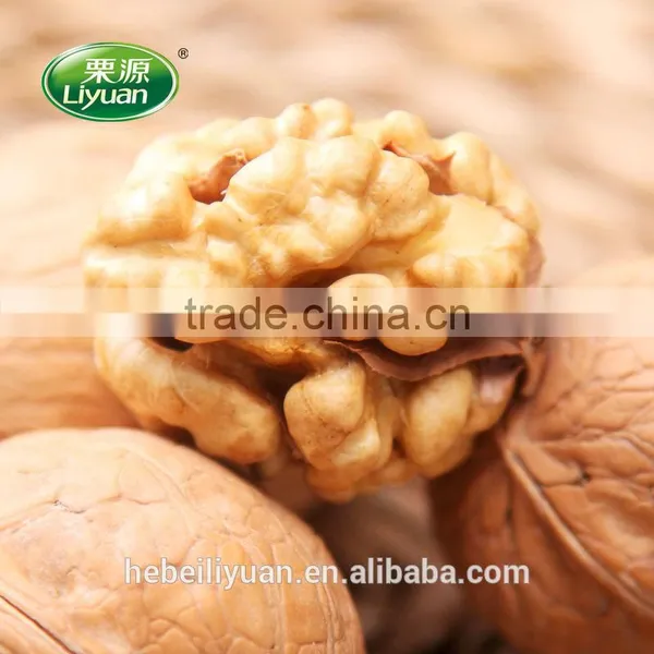 Xinjiang Walnut photo-6