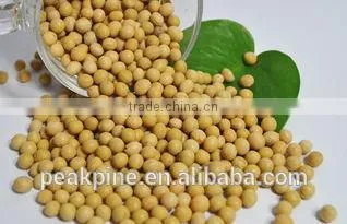 Soy Protein Textured Pellet photo-2