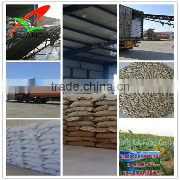 Inner Monglia Sunflower Seed Kernels (bakery) photo-2