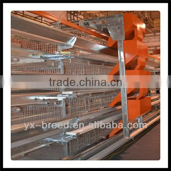 New Design H Type Chicken Layer Battery Cage