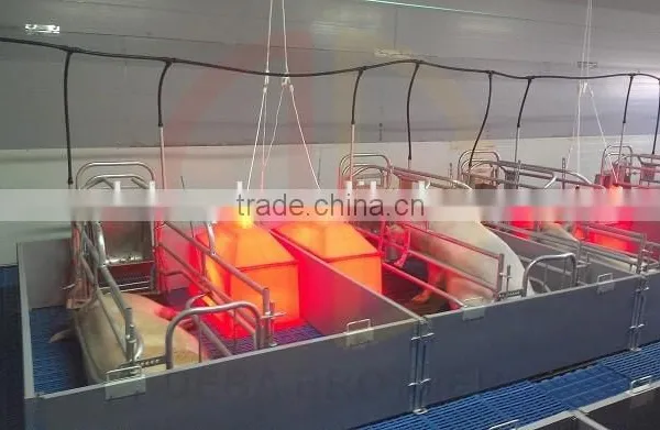 Pig Farrowing Crate for Sale photo-4
