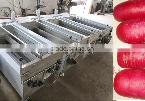 Stainless Steel Vegetable and Fruit Washing Machine photo-2