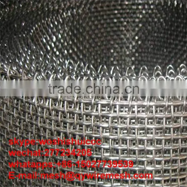 Crimped Wire Mesh/Galvanized Crimped Wire Mesh/Stainless Steel Crimped Wire Mesh photo-2
