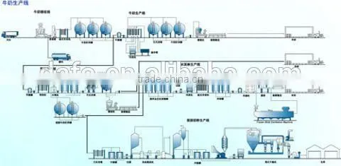 0.5T-3T/H Dairy Processing Milk Plant photo-5
