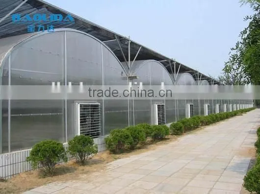 Chengdu BaoLiDa Low Price 20 Micron Polythene Greenhouse pe Film Greenhouse photo-2