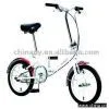 Folding Bike