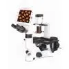 DMS-851 Digital Inverted LCD Fluorescence Microscope