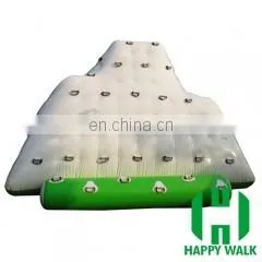 Giant Inflatable Water Slide for Adult/Cheap Inflatable Water Slide for Sale photo-3
