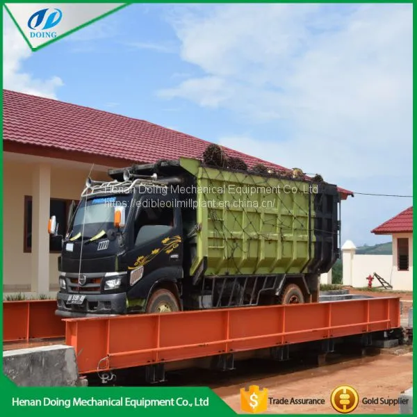 Hot Sale Palm Oil Pressers for Extracting Palm Oil photo-5