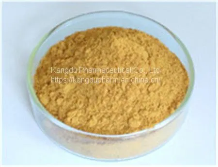 American Ginseng P.E,American Ginseng P.E Manufacturer,American Ginseng P.E Supplier