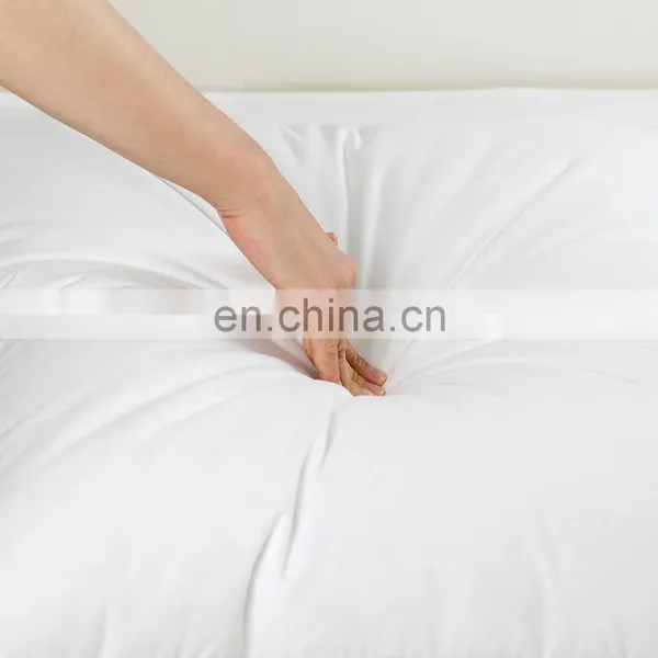 RAWHOUSE COTTON 100% Pillow Insert photo-7
