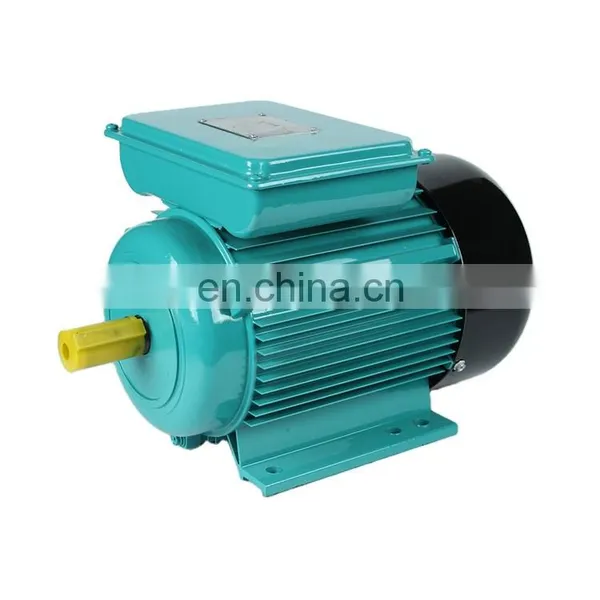 Motor Electrico 2 hp s1 Duty Electric photo-2