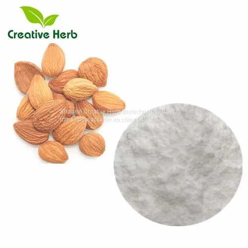 100% Natural Apricot Seed Extract Amygdalin Vitamin B17 Amgydalin 98% CAS NO.29883-15-6