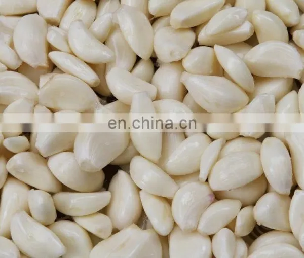 Garlic Ginger Peeling Machine/ Garlic Peeler /garlic Peeling photo-3