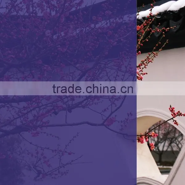 Straw Yellow Color Window Tinting Film, Glass PET Film photo-3