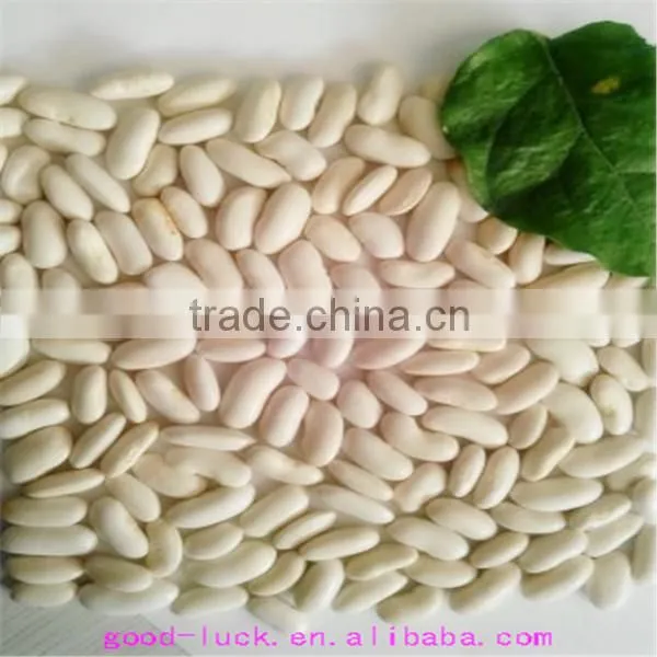 White Kidney Beans (heilongjiang) photo-3