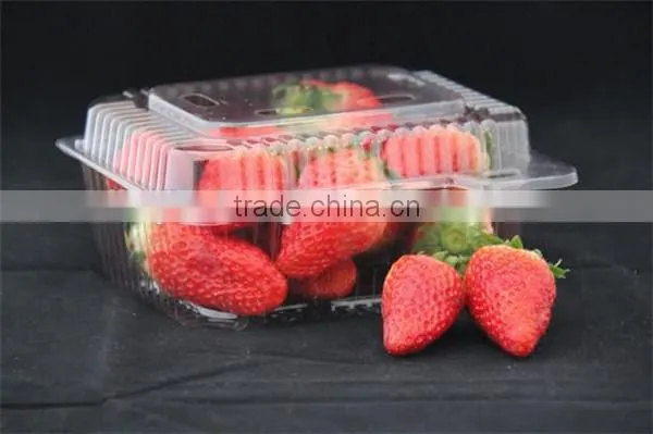 PET Plastic Transparent Boxes for Packing Strawberry photo-2