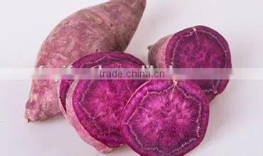 Fresh Sweet Potato Vegetable on Sale photo-5