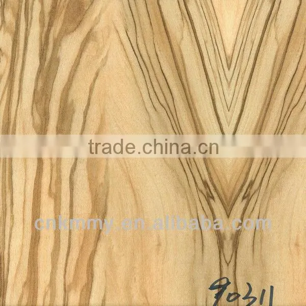 2013 New Design 2013 New Design Decor Printed Paper for Hpl
