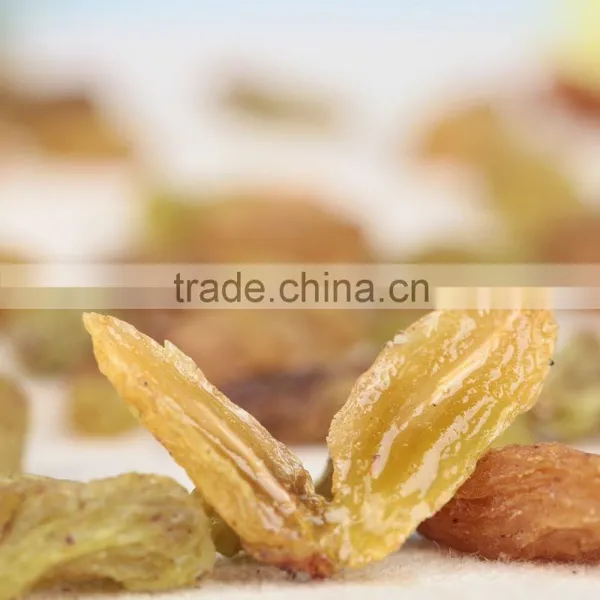Chinese Green Raisins Xinjiang Raisins Dried Grape photo-2