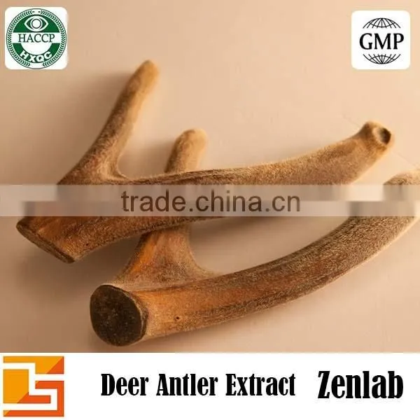 Pure Pilos Deer Horn Extract Powder 10:1 20:1 photo-5