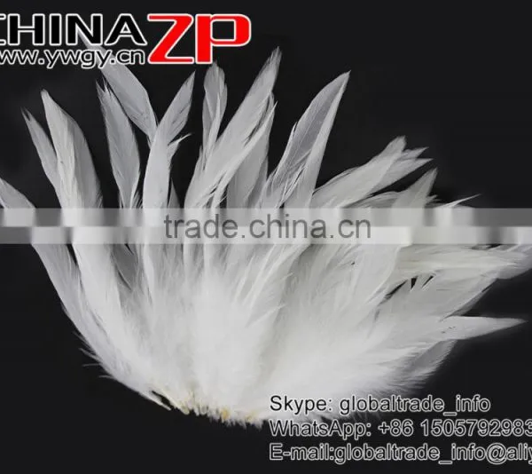 NO.1 Supplier ZPDECOR Bulk Sale Natural Bleached White Dyed Chicken Rooster Schlappen Feathers photo-2