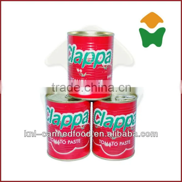 Tomato Paste Factory Good Quality/good Service 70gX50tins photo-3