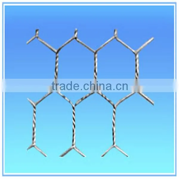 Galvanized and Pvc Hex Wire Mesh for Sale photo-2