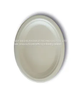 JUST Disposable Compostable Tableware Oval Plate 9