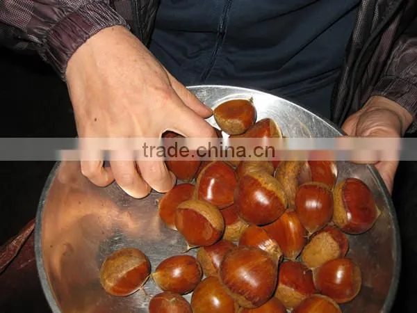 Bigbigbig Sweetsweetsweet Come On! Dangdong Chestnut