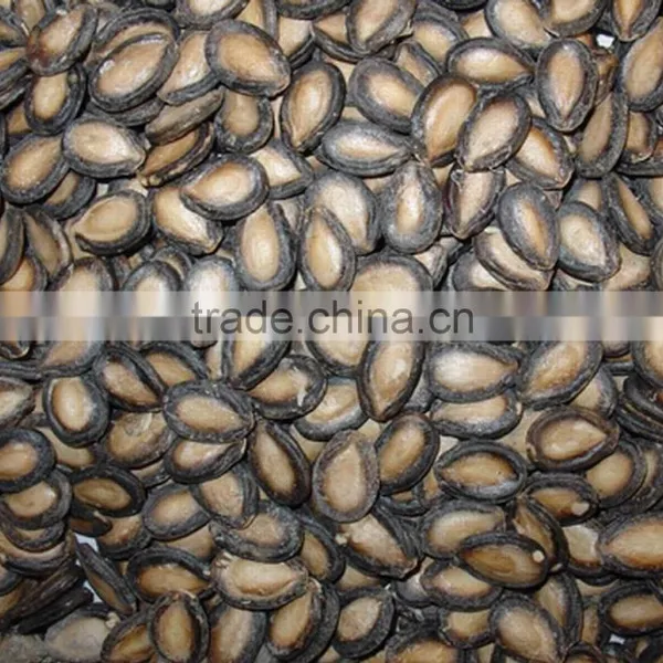 Water Melon Seeds photo-2