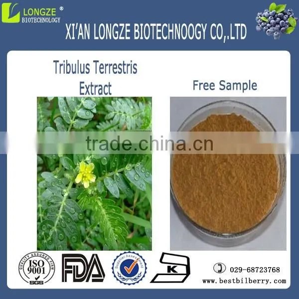 ISO & KOSHER China Suplier Tribulus Terrestris Extract Powder