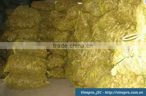 VIETNAM DRIED SLICE GINGER, BEST PRICE, HIGH QUALITY (+841657106604 - WHATSAPP) photo-2