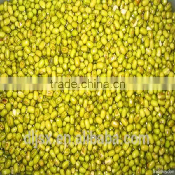 JSX Origin Yellow Mung Bean Price Sprouting Type First Class Mung photo-3